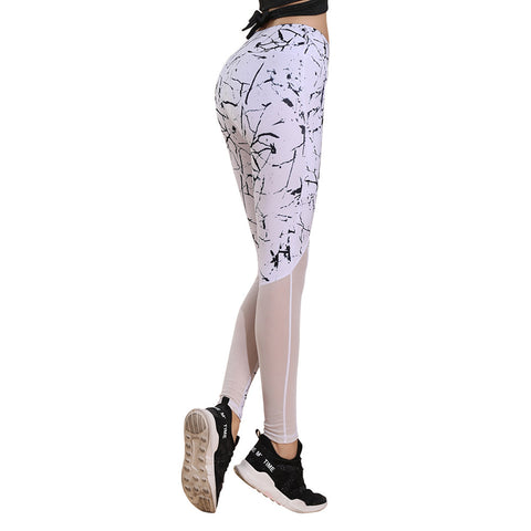 Image of Sports Mesh Joint Gym Legging - Itopfox