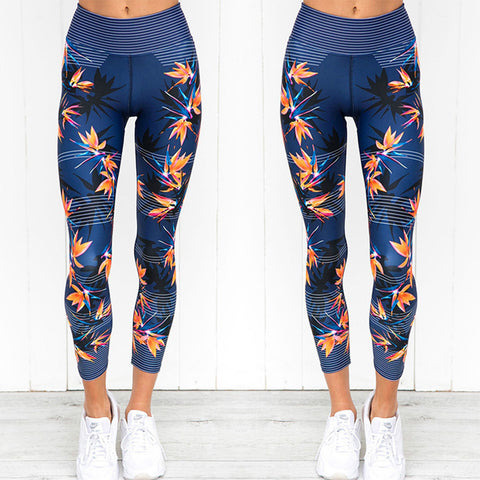 Image of High Waist Yoga Gym Legging Pant - Itopfox