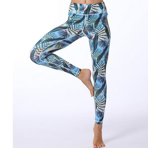 Fitness Gym Yoga Leggings - Itopfox